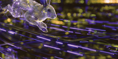 translucent rabbit running across a purple and gold surface